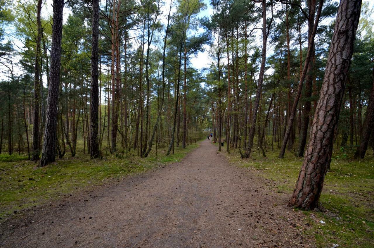 Pensjonat Slepowron Miedzywodzie Bagian luar foto